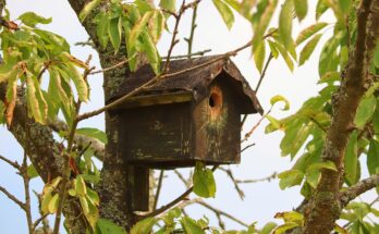 Vogelhäuschen im Garten