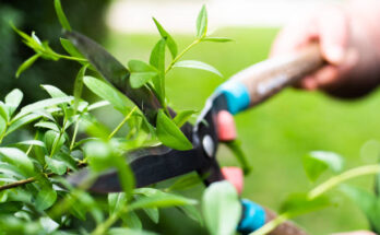 Arbeiten im Garten im Herbst